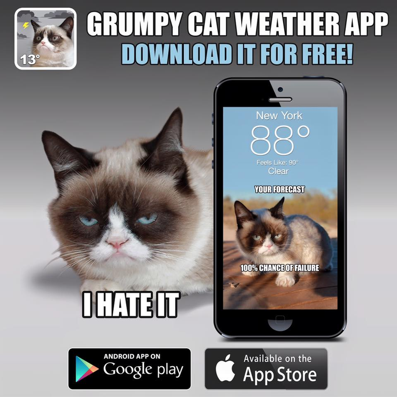 Illustration for article titled The Grumpy Cat Weather App Won't Sugar Coat Things For You